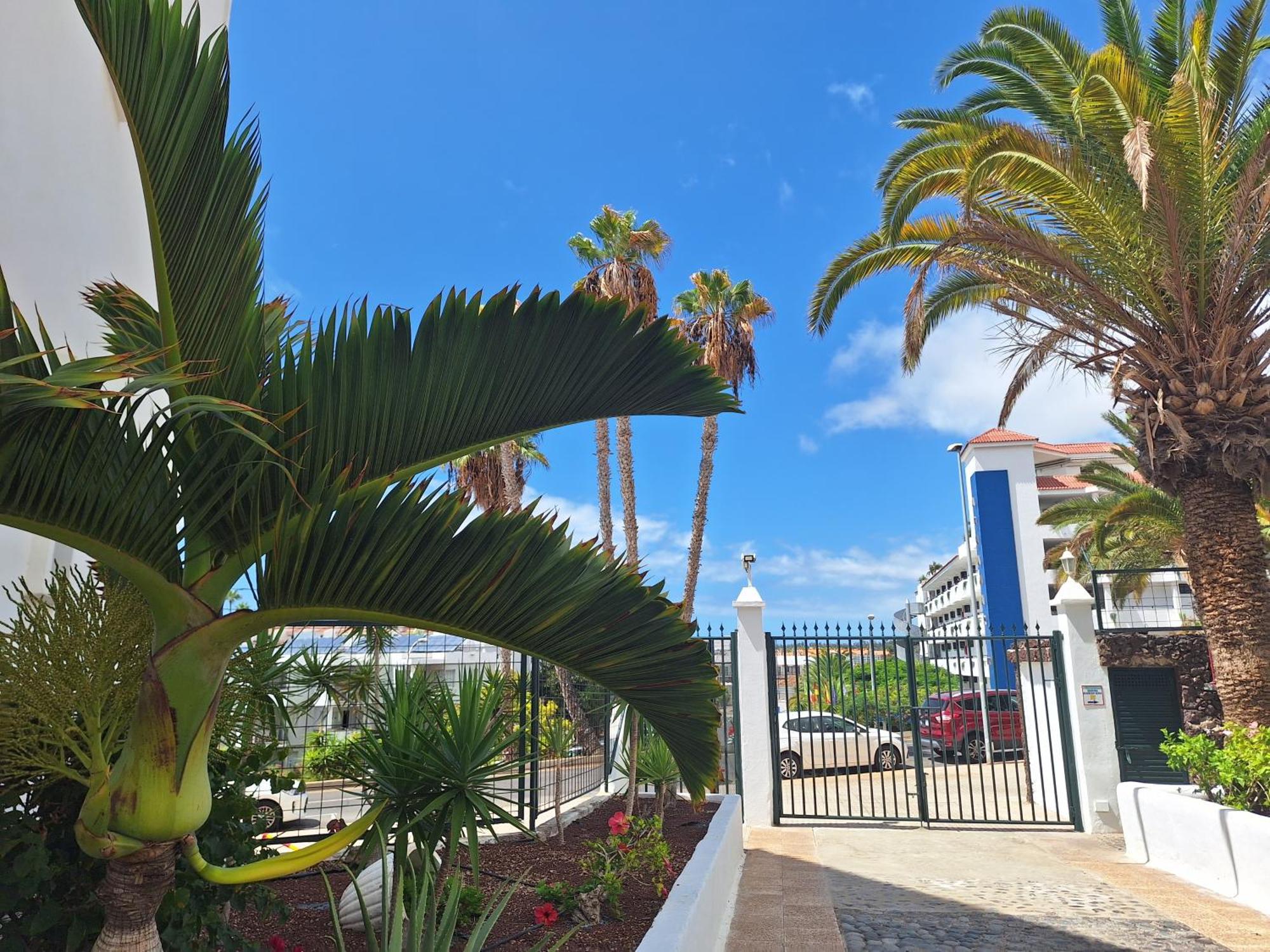Parque Margarita, Terraza Vista Piscina Apartment Los Cristianos  Luaran gambar
